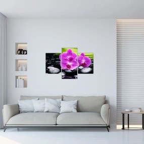 Tablou - Orhidee (90x60 cm)