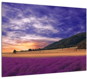 Tablou pe sticlă cu lunca cu lavandă (70x50 cm)