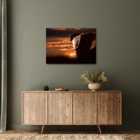 Tablou cu elefant (70x50 cm)