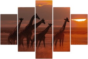 Tablou - Girafe în savana africană (150x105 cm)