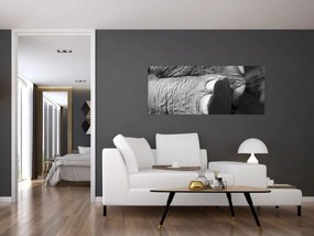 Tablou - Picior de elefant (120x50 cm)