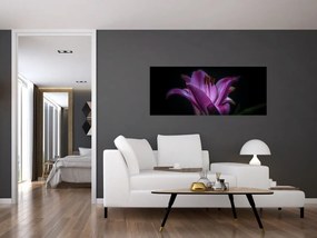 Tablou crinul (120x50 cm)