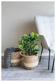 Plantă artificială Skimmia - House Nordic