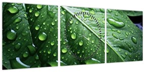 Tablou - Detaliu de frunze după ploaie (cu ceas) (90x30 cm)