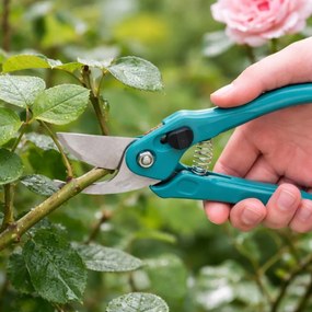 Foarfecă pentru grădină cu lamă din oțel și mâner din plastic turcoaz, 18 cm