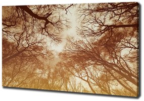 Print pe canvas Pădure