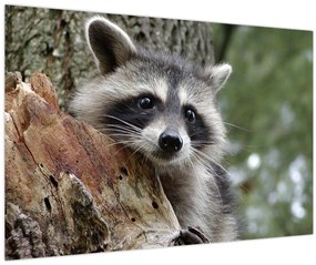 Tablou - Raton (90x60 cm)