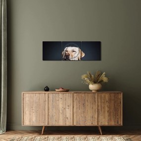 Tablou cu labrador (cu ceas) (90x30 cm)