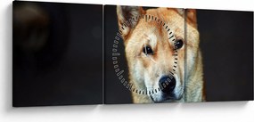 Tablou cu câine (cu ceas) (90x30 cm)