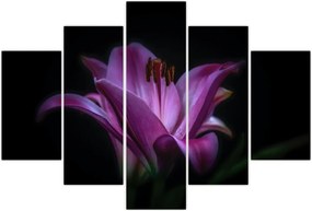 Tablou crinul (150x105 cm)