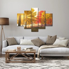 Tablou cu copaci toamna (150x105 cm)