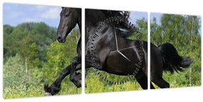Tablou - Cal cu o coamă curgătoare (cu ceas) (90x30 cm)