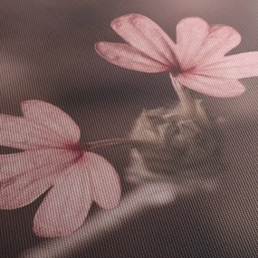 Tablou cu floare roz (70x50 cm)