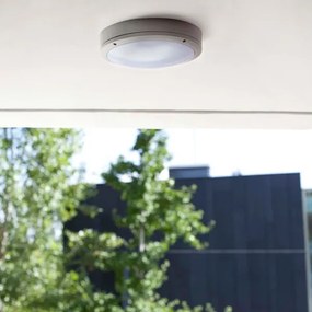 FARO 70690 - Plafonieră exterior YEN 1xE27/60W/230V IP54