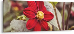 Tablou cu floare (120x50 cm)