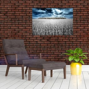 Tablou cu câmp (90x60 cm)