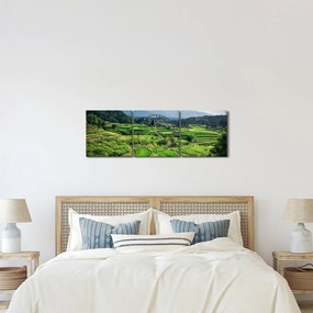 Tablou cu câmp de orez (cu ceas) (90x30 cm)