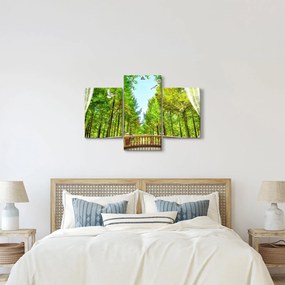 Tablou - Privire spre pădure (90x60 cm)