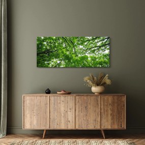 Tablou - privire în coroanele pomilor (120x50 cm)