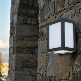 Aplică de perete pentru exterior cu LED/12W/230V 3000K IP65 neagră