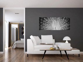 Tablou - Păun alb (120x50 cm)