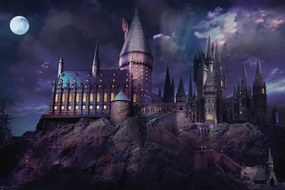 Poster de artă Harry Potter - Hogwarts night