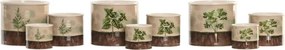 Set 3 ghivece decorative pentru plante aromatice din ceramică, 13,5×13,5×11,5 cm, „Herboria"