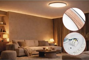 Plafonieră LED cu funcție de dimare ILVI LED/30W/230V 2700-6500K Ø 40 cm negru/bej + telecomandă