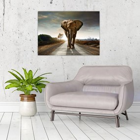 Tablou cu elefant (70x50 cm)