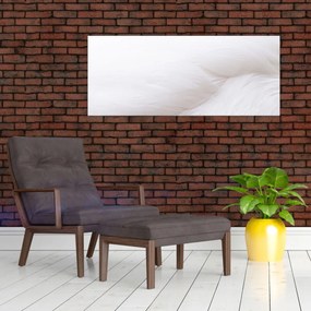 Tablou - Pană albă (120x50 cm)