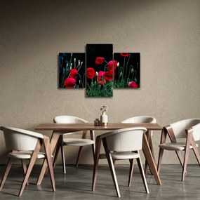 Tablou - Dansul macilor (90x60 cm)