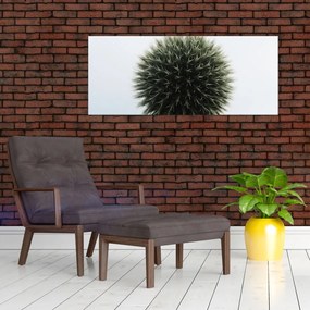 Tablou - Sfere de flori (120x50 cm)