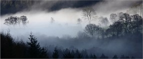 Tablou cu ceță deasupra pădurii (120x50 cm)
