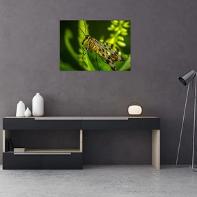 Tablou pe sticlă cu omide (70x50 cm)