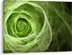 Tablou - Abstract Rose Green (70x50 cm)