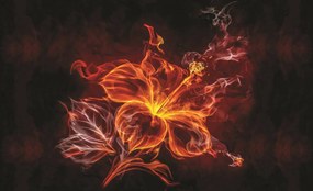 Fototapet - Floare- foc și fum (152,5x104 cm)