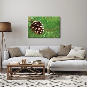 Tablou cu con (90x60 cm)