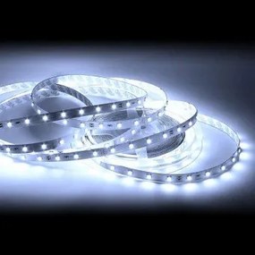 Banda led 4.8W/m lumina rece 12VDC IP65 REN HOROZ