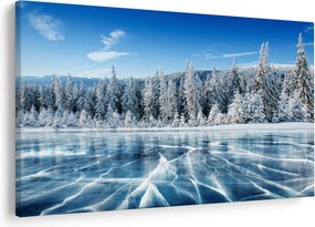 Tablou cu lacul înghețat și copacii înzăpeziți (90x60 cm)