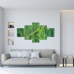 Tablou cu picături de rouă (125x70 cm), în 40 de alte dimensiuni noi