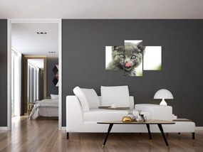 Tablou cu pisicuța lingându-se (90x60 cm)
