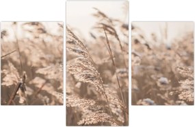 Tablou - Adiere de luncă (90x60 cm)