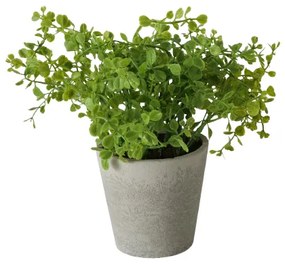 Eucalipt artificial in ghiveci Timothy 16/18 cm