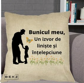 Cadou pentru Bunic - Perna Personalizata Bunicul Meu Izvor de Liniste cu Fluture si Fetita, 40x40 cm, Crem, Husa Detasabila, Perna Inclusa, BEKZ®