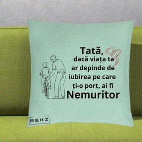 Cadou pentru Tata - Perna Personalizata Tata Nemuritor Bicicleta, 40x40 cm, Verde Menta, Husa Detasabila, Perna Inclusa, BEKZ®