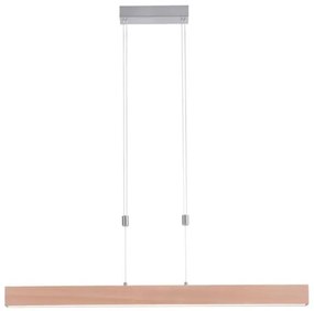 Lustră LED dimabilă pe cablu Leuchten Direkt 11420-78 AMANDA LED/30W/230V