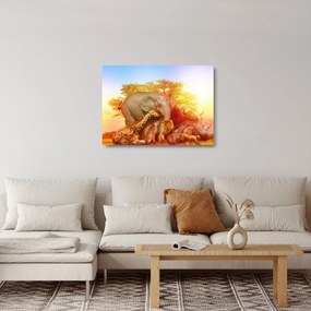 Tablou pe sticlă - Animale africane (70x50 cm)