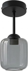 BRILAGI - LED Lustră aplicată R GLASS 1xE27/60W/230V Ø 14 cm negru/gri fumuriu