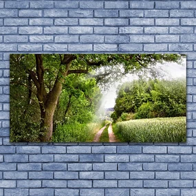 Tablou pe panza canvas Copaci Potecă Natura Brun Verde