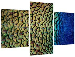 Tablou - Pene de păun (90x60 cm)